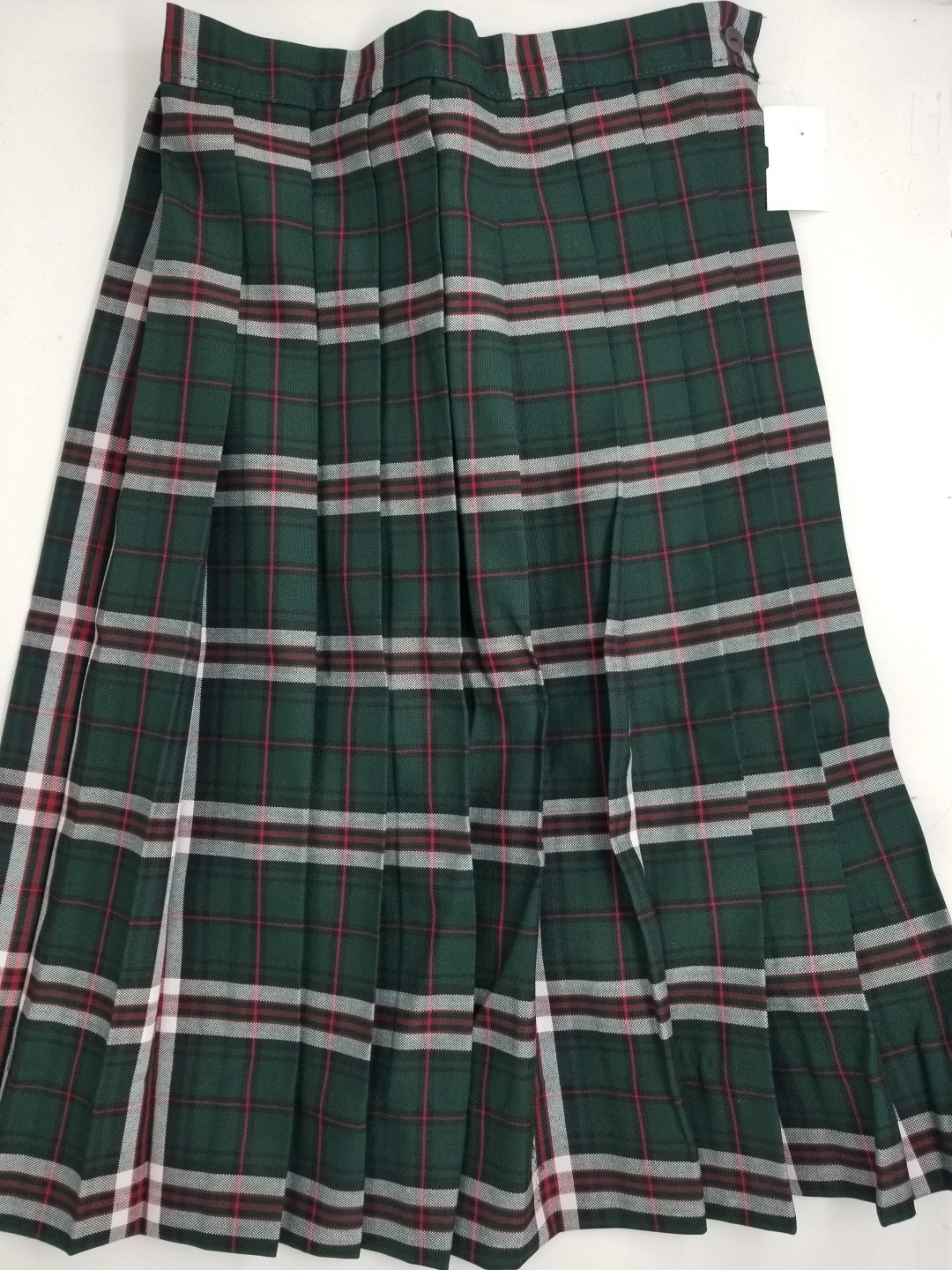 Knife Pleated Skirt- Style 06/16-Plaid 38