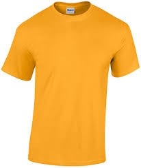 Gym T-Shirt-Gold