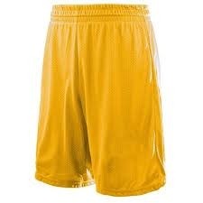 Mesh Gym Short-Gold