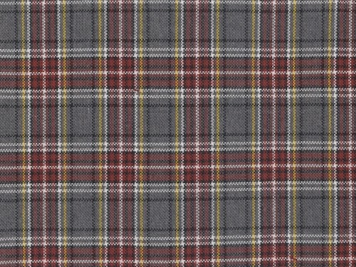 YOUNG FASHIONS PLAID 09 (ALSO PLAID 43)