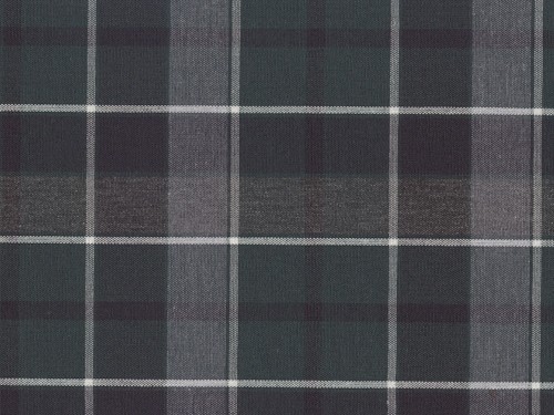 YOUNG FASHIONS PLAID 13 (ALSO PLAID 75)