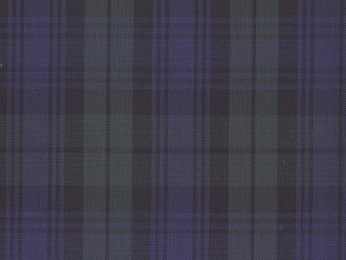 YOUNG FASHIONS PLAID 14 (ALSO BLACKWATCH)