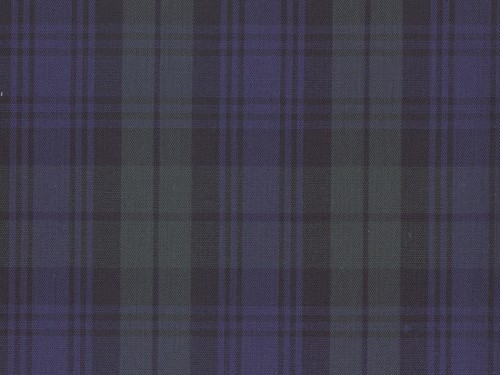 YOUNG FASHIONS PLAID 14 (ALSO BLACKWATCH)