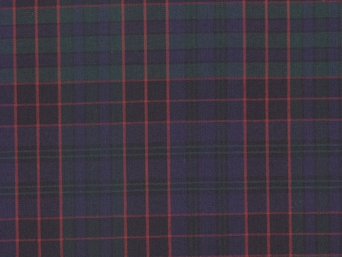 YOUNG FASHIONS PLAID 19 (ALSO PLAID 2E)