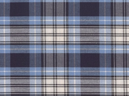 YOUNG FASHIONS PLAID 22 (ALSO PLAID 220 OR RR PLAID)