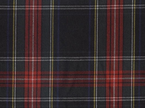 YOUNG FASHIONS PLAID 30 (ALSO PLAID 63)