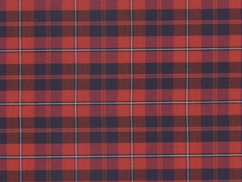 YOUNG FASHIONS PLAID 51 (ALSO PLAID 65)