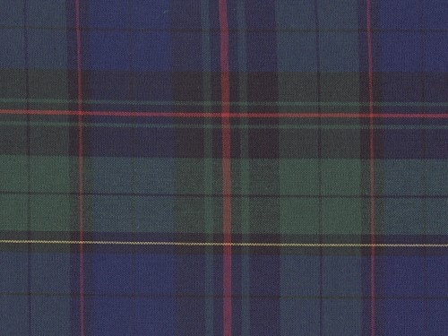 YOUNG FASHIONS PLAID 53 (ALSO PLAID 81)