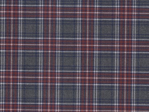 YOUNG FASHIONS PLAID 84 (ALSO 6T)