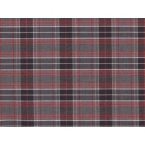 YOUNG FASHIONS PLAID 41 (ALSO PLAID 046)