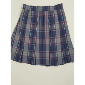 Stitch Down Pleat Skirt- Style 11-Plaid 20