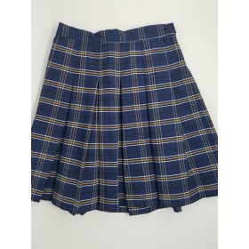 Stitch Down Pleat Skirt- Style 11-Plaid 28