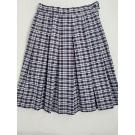 Stitch Down Pleat Skirt- Style 11-Plaid 36