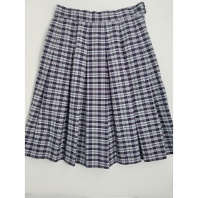 Stitch Down Pleat Skirt- Style 11-Plaid 36