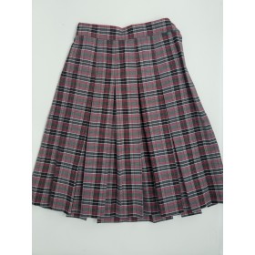 Stitch Down Pleat Skirt- Style 11-Plaid 41