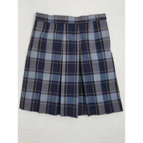 Stitch Down Pleat Skirt- Style 11-Plaid 34