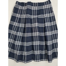 Stitch Down Pleat Skirt- Style 11-Plaid 35