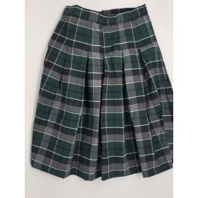 Stitch Down Pleat Skirt- Style 11-Plaid 13
