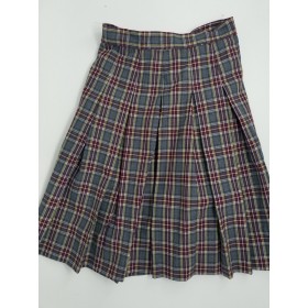 Stitch Down Pleat Skirt- Style 11-Plaid 9