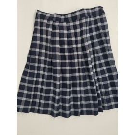 Knife Pleated Skirt- Style 06-Plaid 32