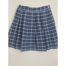 Knife Pleated Skirt- Style 06/16-Plaid 78