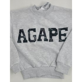 Sweatshirt with Applique Letters-Agape School of BR (plaid letters)
