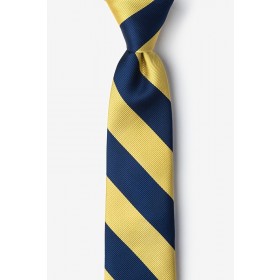Boys Clip-On Tie-Navy/Gold Stripes