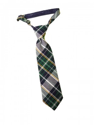Boys Clip-On Tie-Plaid 5