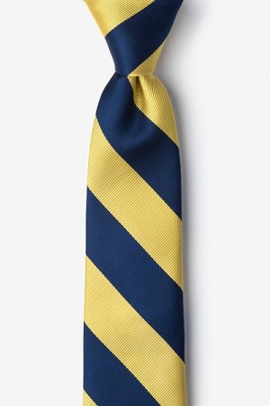 Boys Clip-On Tie-Navy/Gold Stripes
