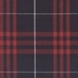 Toddler Pull-On Short- Plaid-Plaid 77