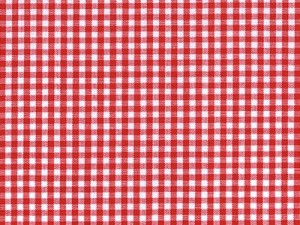 YOUNG FASHIONS PLAID 01 (RED GINGHAM)