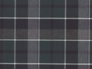 Boys Clip-On Tie-Plaid 13