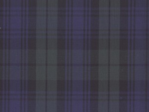 YOUNG FASHIONS PLAID 14 (ALSO BLACKWATCH)