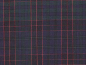 YOUNG FASHIONS PLAID 19 (ALSO PLAID 2E)