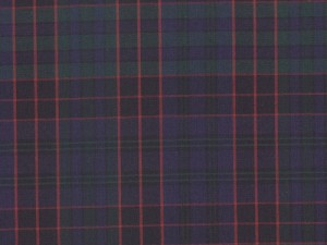 YOUNG FASHIONS PLAID 19 (ALSO PLAID 2E)