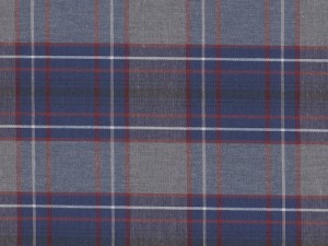 YOUNG FASHIONS PLAID 20 (ALSO PLAID 53)