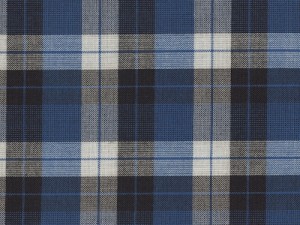 YOUNG FASHIONS PLAID 21 (ALSO PLAID 108P OR RAMPART)