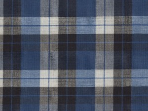 YOUNG FASHIONS PLAID 21 (ALSO PLAID 108P)