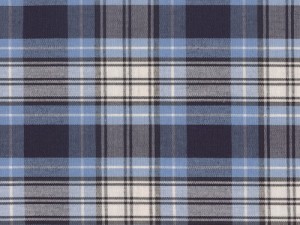 YOUNG FASHIONS PLAID 22 (ALSO PLAID 220 OR RR PLAID)
