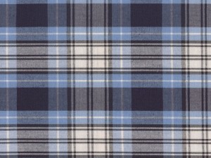 YOUNG FASHIONS PLAID 22 (ALSO PLAID 220)