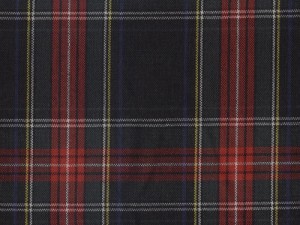 YOUNG FASHIONS PLAID 30 (ALSO PLAID 63)