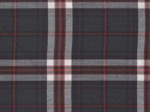 YOUNG FASHIONS PLAID 38 