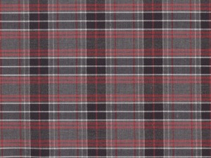 YOUNG FASHIONS PLAID 41 (ALSO PLAID 046)