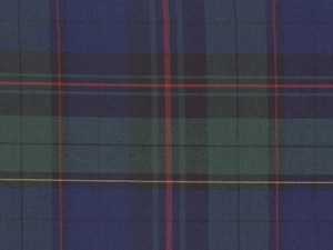 YOUNG FASHIONS PLAID 53 (ALSO PLAID 81)