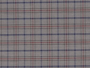 YOUNG FASHIONS PLAID 61 (ALSO PLAID 2G)