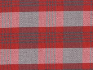 YOUNG FASHIONS PLAID 63 