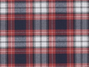 YOUNG FASHIONS PLAID 66 (ALSO PLAID 72 OR LIBERTY PLAID)