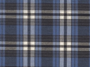 YOUNG FASHIONS PLAID 67 (ALSO PLAID 29)