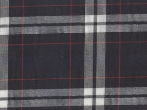 YOUNG FASHIONS PLAID 69 (ALSO PLAID 60)