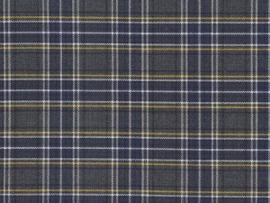 YOUNG FASHIONS PLAID 70 (ALSO PLAID 42 OR LL PLAID)